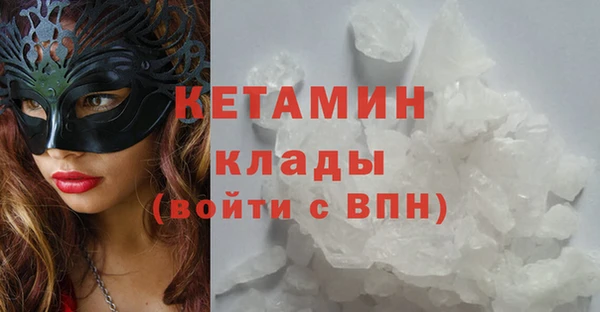 стаф Магас