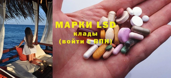 стаф Магас