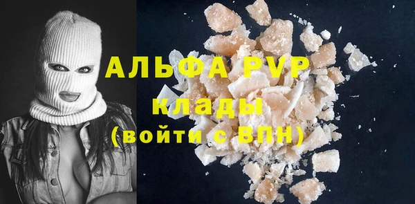 стаф Магас