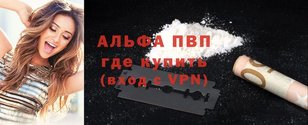 стаф Магас