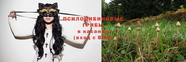 apvp Майский